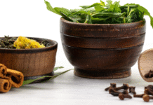 Rediscover Wellness: How Natural Ayurvedic Skincare is Transforming Modern Self-Care Routines